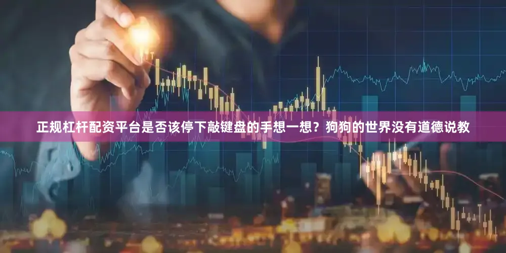 正规杠杆配资平台是否该停下敲键盘的手想一想？狗狗的世界没有道德说教
