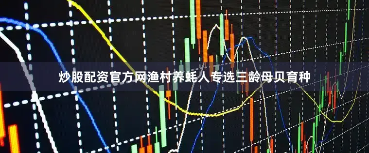 炒股配资官方网渔村养蚝人专选三龄母贝育种