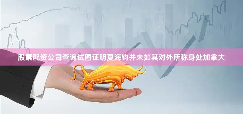 股票配资公司查询试图证明夏海钧并未如其对外所称身处加拿大