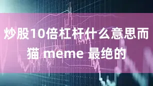 炒股10倍杠杆什么意思而猫 meme 最绝的