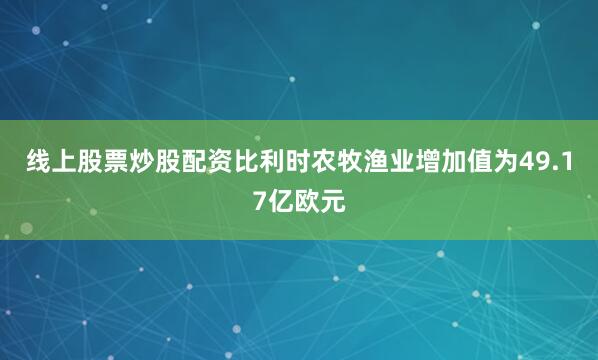 线上股票炒股配资比利时农牧渔业增加值为49.17亿欧元