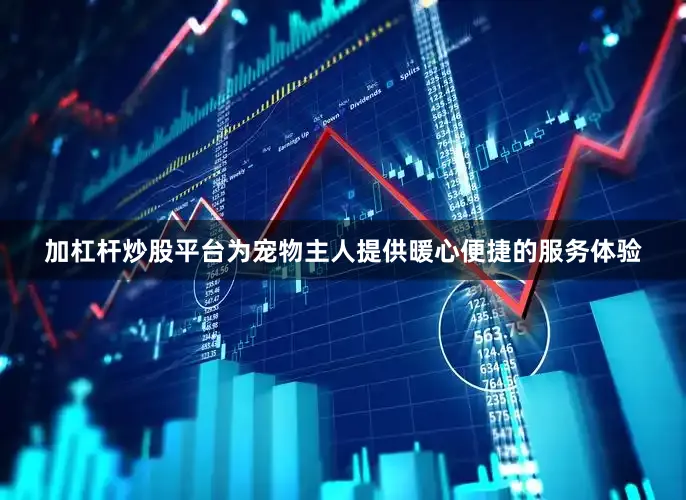 加杠杆炒股平台为宠物主人提供暖心便捷的服务体验